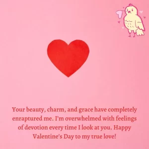 Valentine's Day Images Quotes for Girlfriend